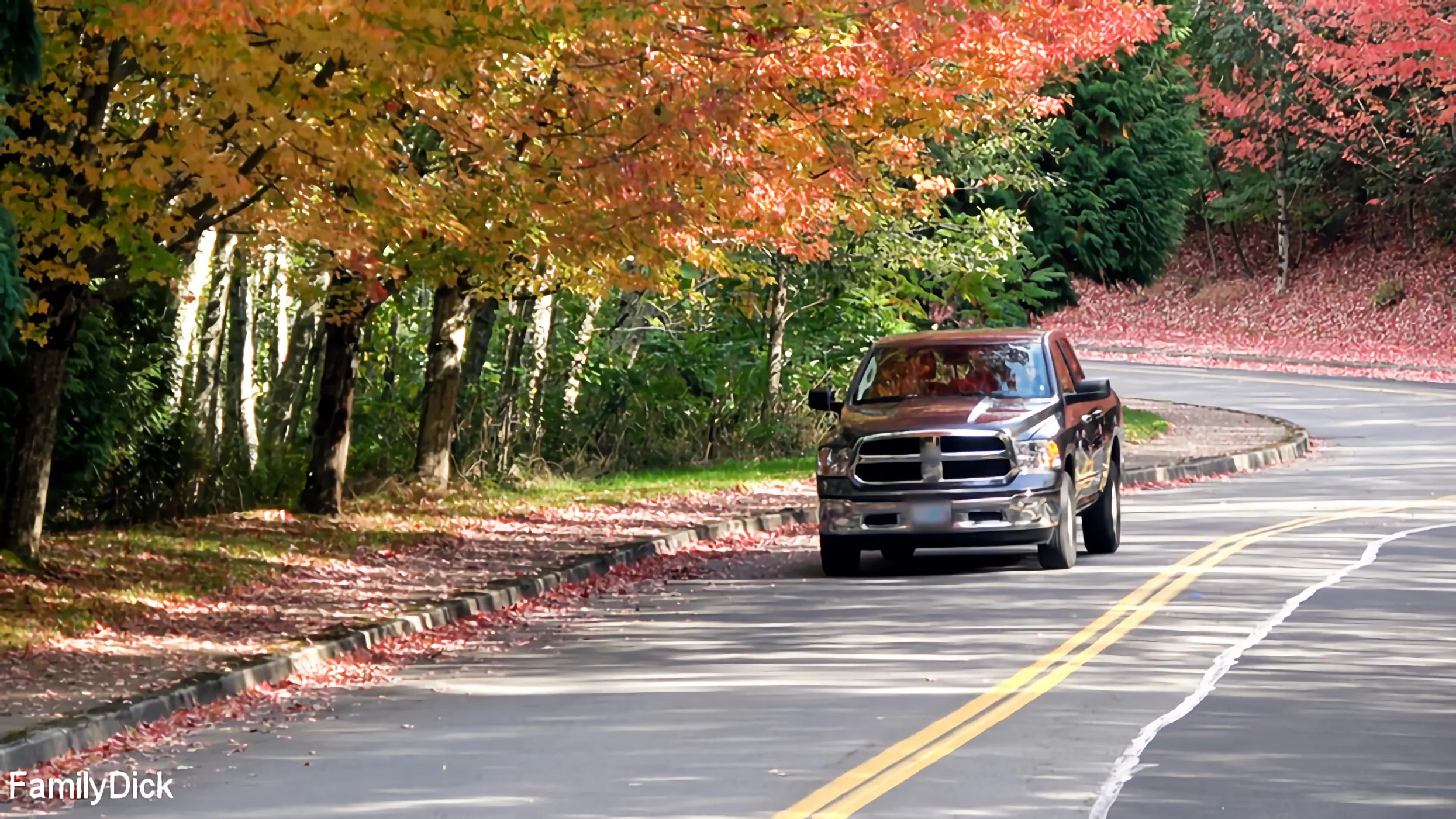 Kink Partners Gay 'Outdoor Pitstop on Way to Cabin RAW' starring Alex Killian (Photo 2)