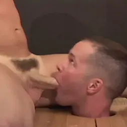 Tag Adams in 'Kink Partners Gay' TAG TIED: The Box (Thumbnail 14)